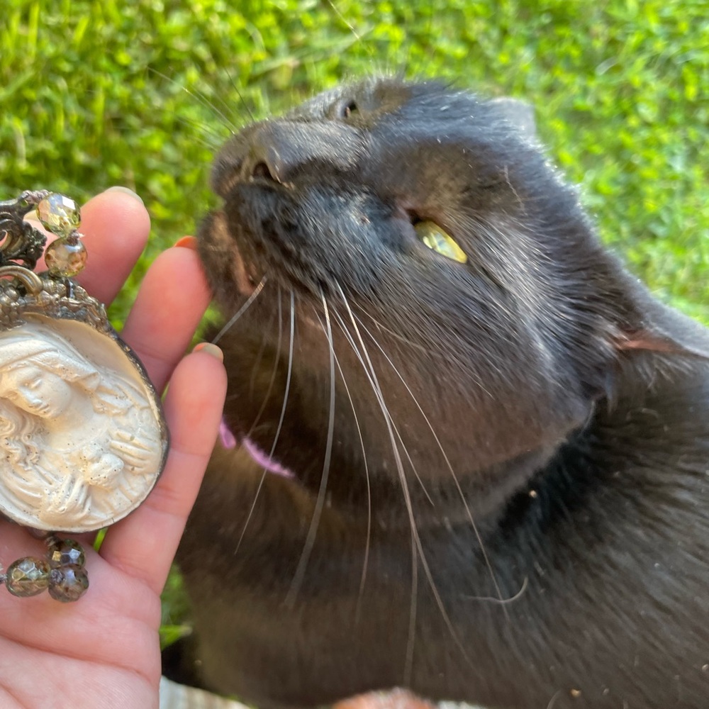 Swamp inspired Louisiana parish rosary voodoo Marie laveau swamp water b… - Picture 9 of 11